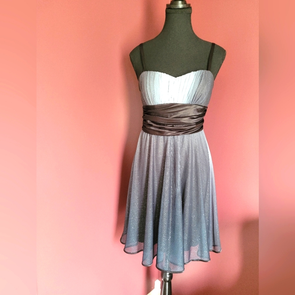 R&M Richard Beautiful Cocktail Dress